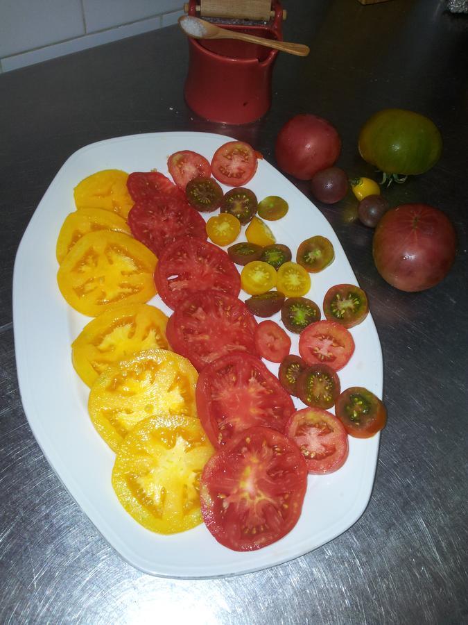 הוילה Marsá Mas Figueres מראה חיצוני תמונה